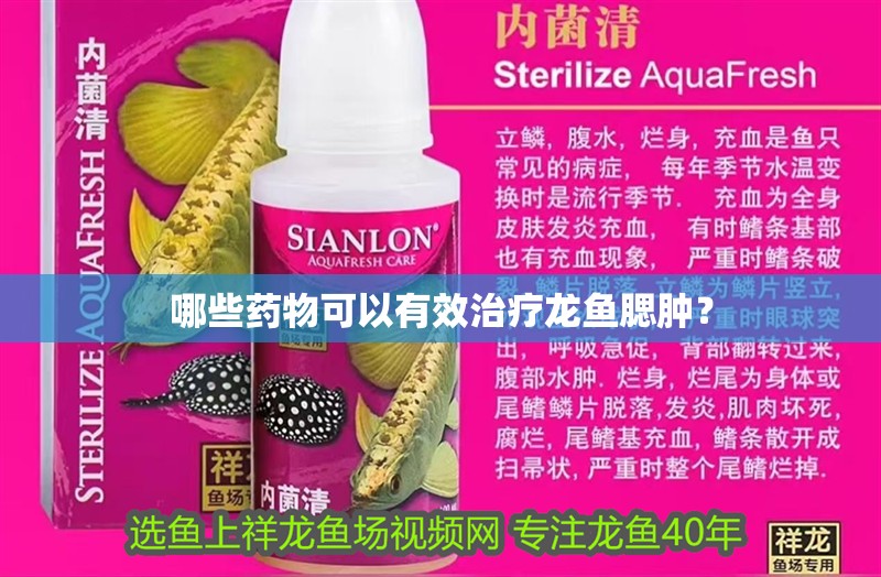 哪些藥物可以有效治療龍魚腮腫？