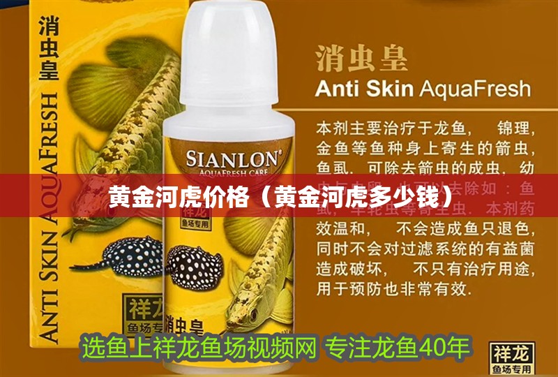 黃金河虎價格（黃金河虎多少錢） 黃金河虎價格（黃金河虎多少錢） 觀賞魚百科