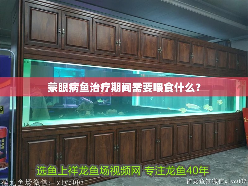 蒙眼病魚治療期間需要喂食什么？