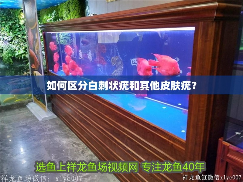 如何區(qū)分白刺狀疣和其他皮膚疣？