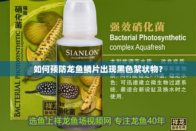 如何預(yù)防龍魚鱗片出現(xiàn)黑色絮狀物？