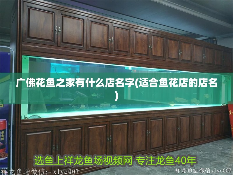 廣佛花魚之家有什么店名字(適合魚花店的店名)