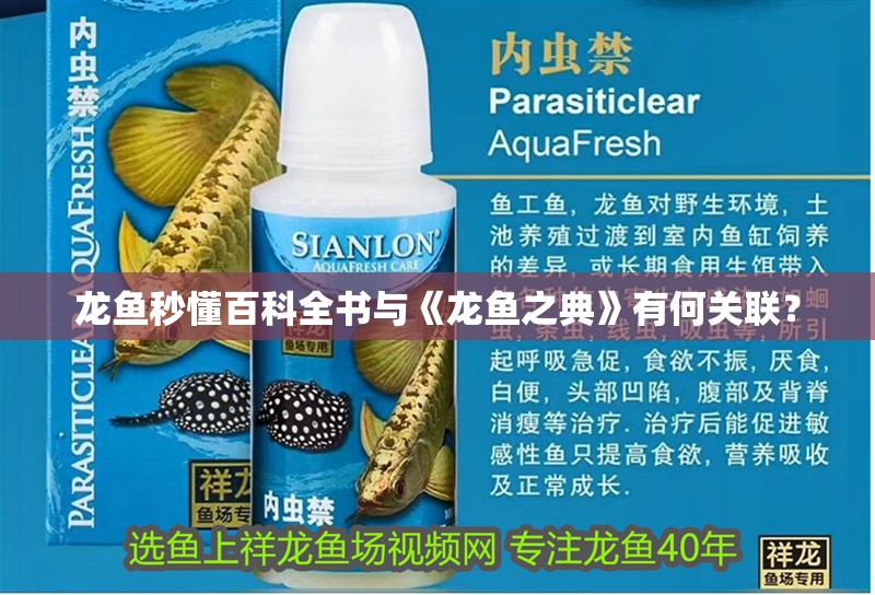 龍魚秒懂百科全書與《龍魚之典》有何關聯？