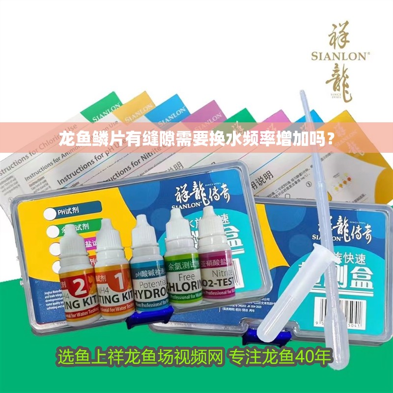 龍魚鱗片有縫隙需要換水頻率增加嗎？