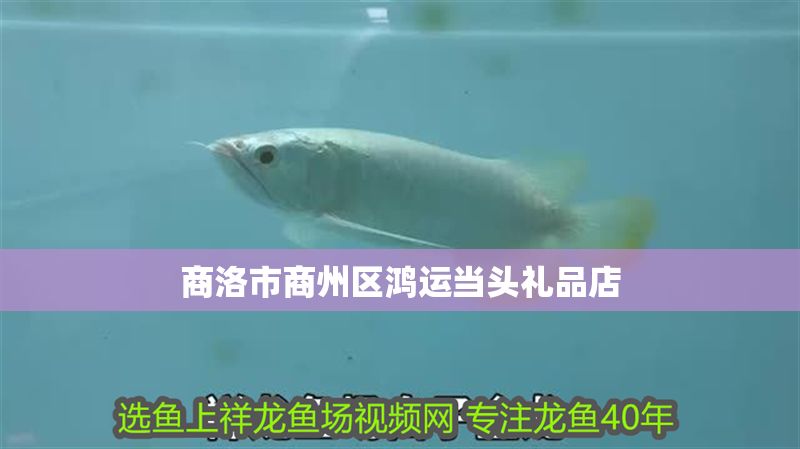 商洛市商州區鴻運當頭禮品店