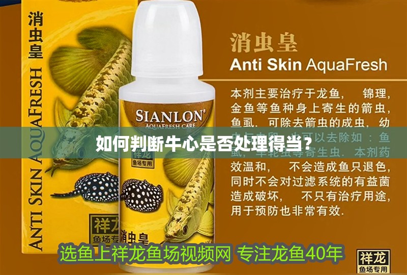 如何判斷牛心是否處理得當(dāng)？