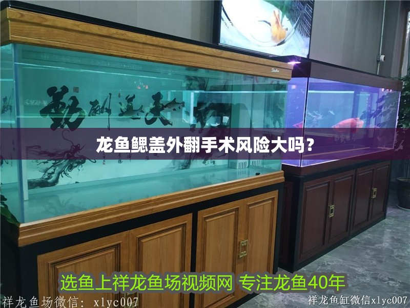 龍魚鰓蓋外翻手術風險大嗎？