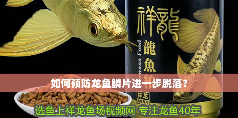 如何預防龍魚鱗片進一步脫落？