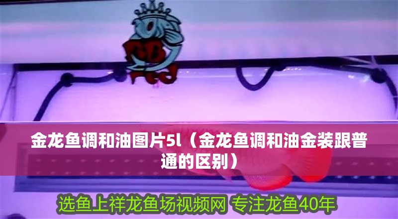 金龍魚調和油圖片5l（金龍魚調和油金裝跟普通的區別）