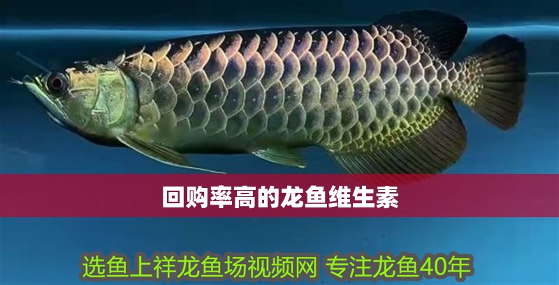 回購率高的龍魚維生素