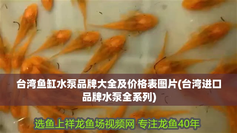 臺灣魚缸水泵品牌大全及價格表圖片(臺灣進口品牌水泵全系列)