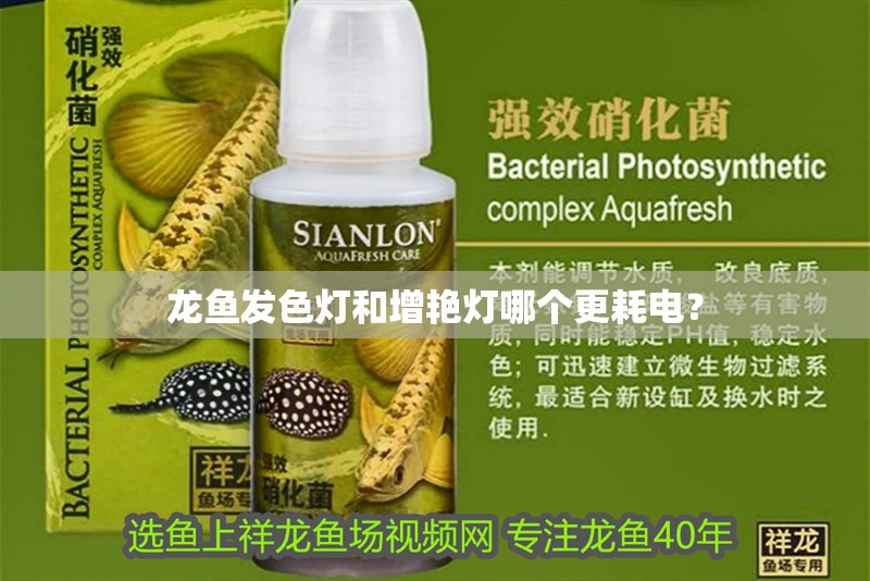 龍魚發色燈和增艷燈哪個更耗電？