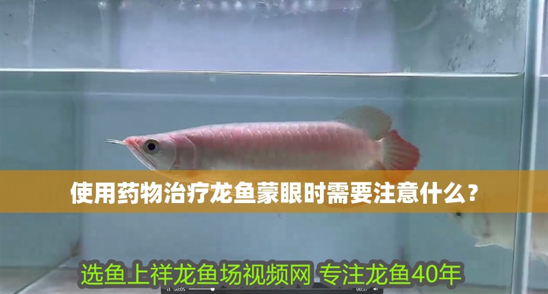 使用藥物治療龍魚蒙眼時需要注意什么？