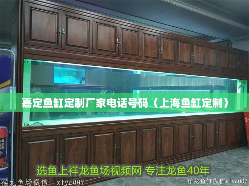 嘉定魚缸定制廠家電話號碼（上海魚缸定制）