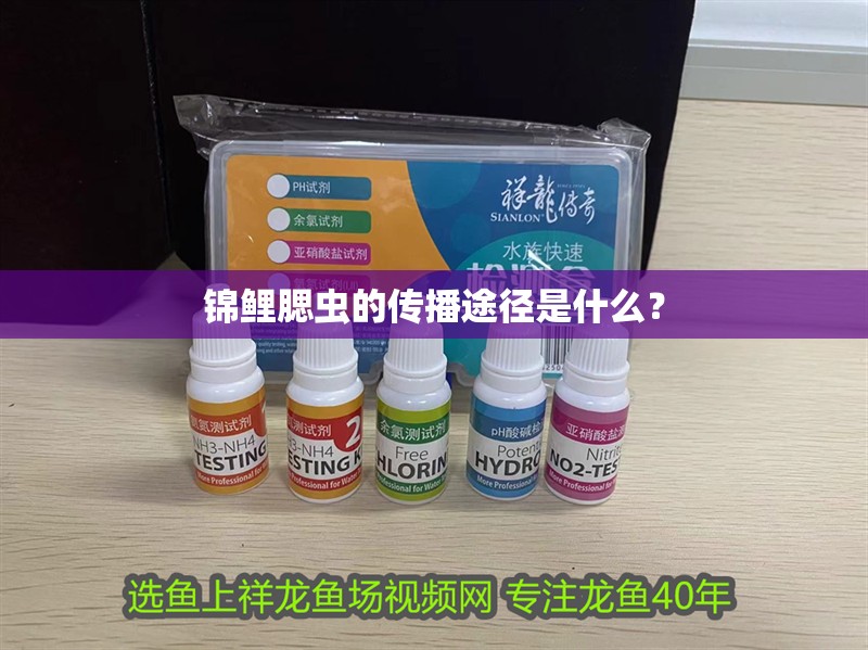 錦鯉腮蟲的傳播途徑是什么？