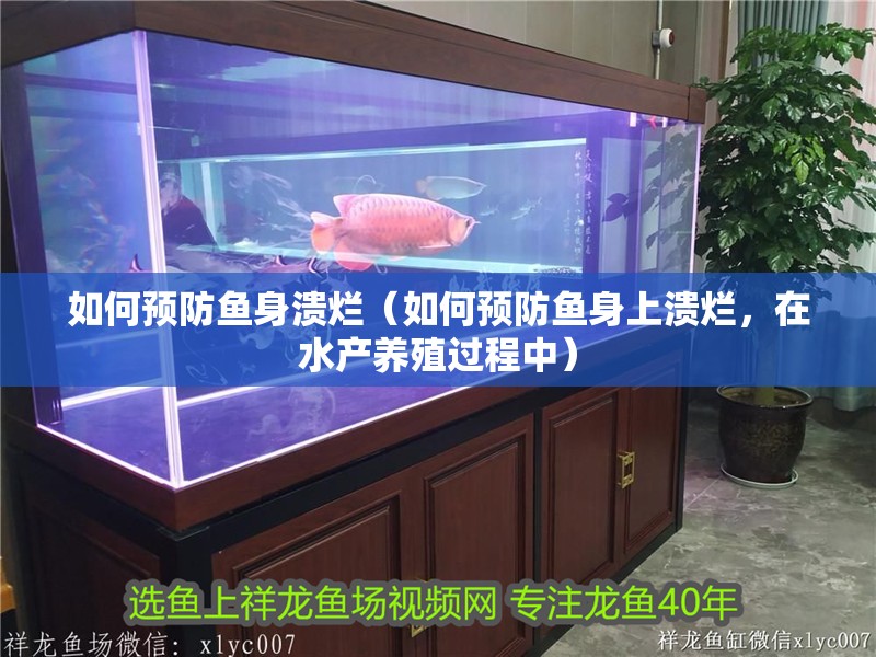 如何預(yù)防魚(yú)身潰爛（如何預(yù)防魚(yú)身上潰爛，在水產(chǎn)養(yǎng)殖過(guò)程中）