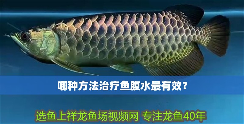 哪種方法治療魚腹水最有效？