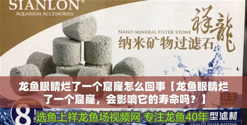 龍魚眼睛爛了一個(gè)窟窿怎么回事【龍魚眼睛爛了一個(gè)窟窿，會(huì)影響它的壽命嗎？】