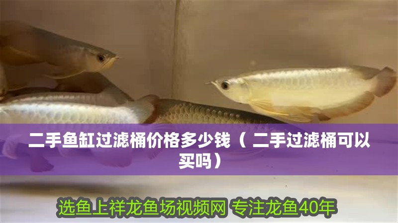 二手魚缸過濾桶價格多少錢（ 二手過濾桶可以買嗎）