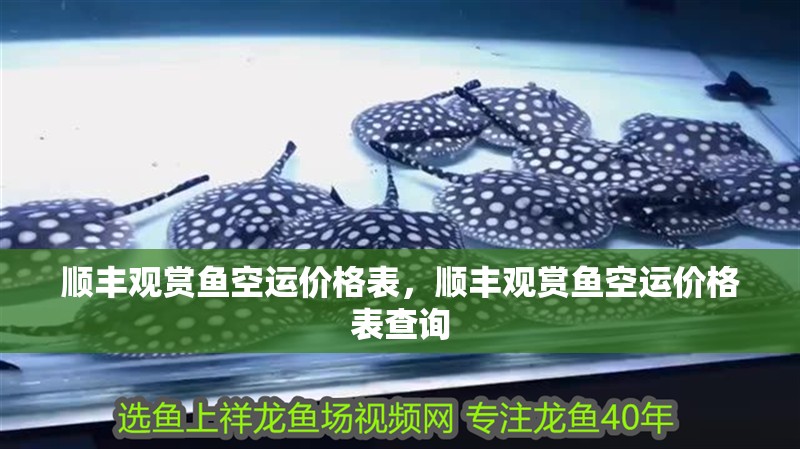 順豐觀賞魚空運價格表，順豐觀賞魚空運價格表查詢