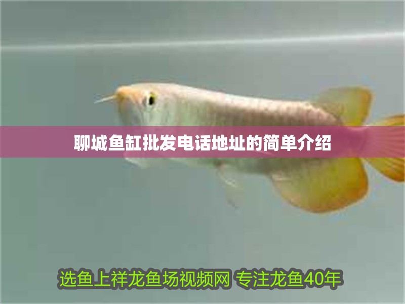 聊城魚缸批發(fā)電話地址的簡(jiǎn)單介紹