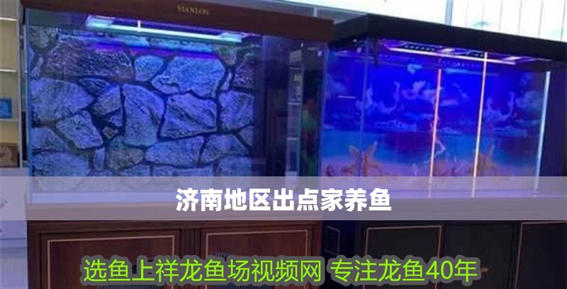 濟南地區出點家養魚