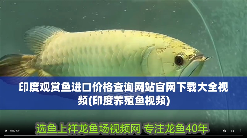 印度觀賞魚進口價格查詢網站官網下載大全視頻(印度養殖魚視頻) 印度觀賞魚進口價格查詢網站官網下載大全視頻(印度養殖魚視頻) 觀賞魚百科