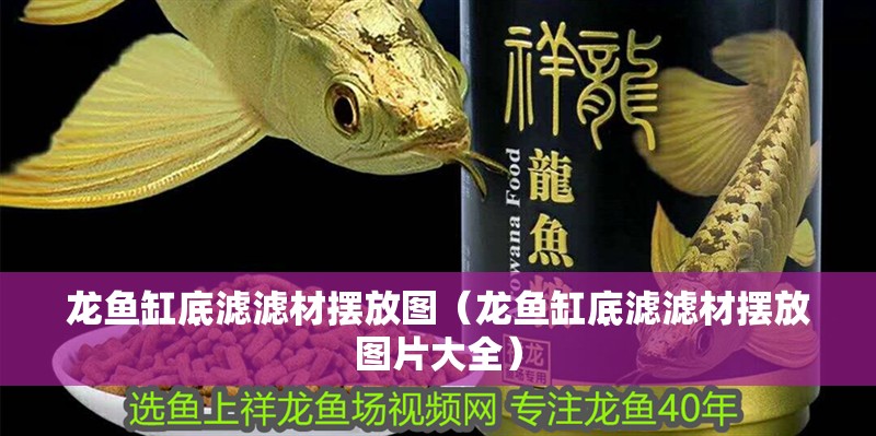 龍魚(yú)缸底濾濾材擺放圖（龍魚(yú)缸底濾濾材擺放圖片大全）