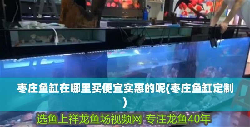 棗莊魚(yú)缸在哪里買(mǎi)便宜實(shí)惠的呢(棗莊魚(yú)缸定制)