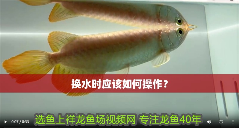 換水時應該如何操作？