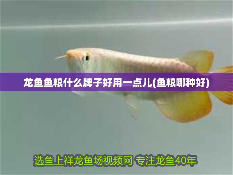 龍魚魚糧什么牌子好用一點兒(魚糧哪種好)