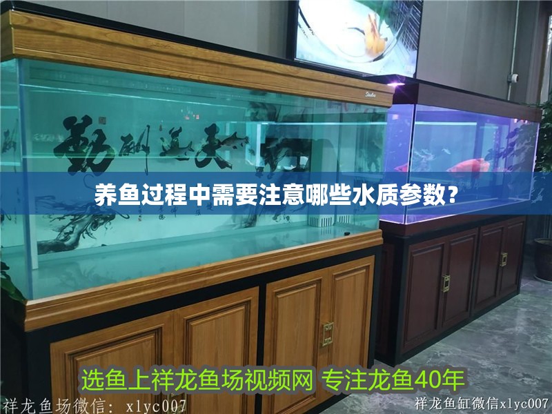 養魚過程中需要注意哪些水質參數？