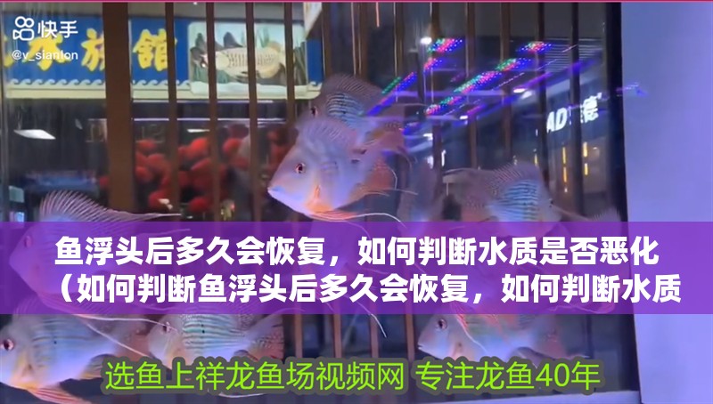 魚浮頭后多久會恢復，如何判斷水質是否惡化（如何判斷魚浮頭后多久會恢復，如何判斷水質是否惡化？）