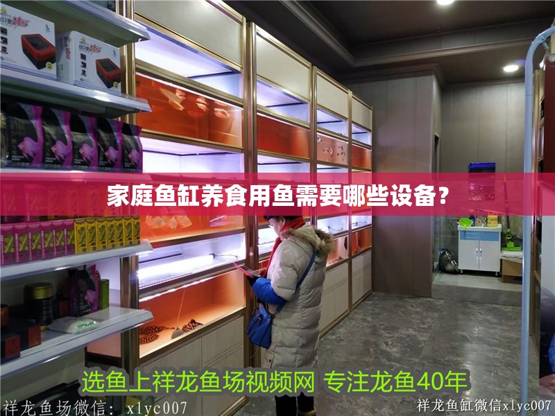 家庭魚缸養(yǎng)食用魚需要哪些設(shè)備？