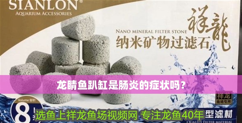 龍睛魚趴缸是腸炎的癥狀嗎？ 龍睛魚趴缸是腸炎的癥狀嗎？ 龍魚百科