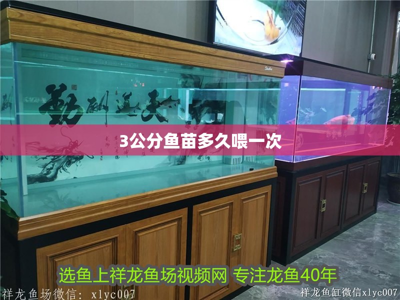 3公分魚苗多久喂一次 3公分魚苗多久喂一次 龍魚百科