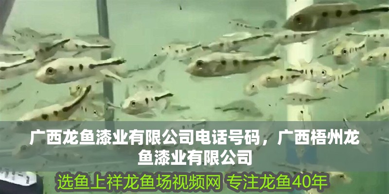 廣西龍魚漆業(yè)有限公司電話號(hào)碼，廣西梧州龍魚漆業(yè)有限公司