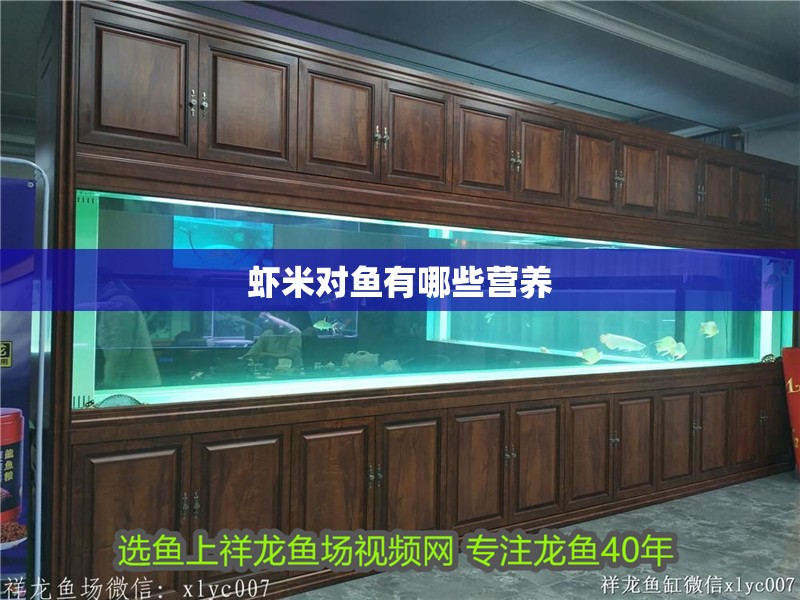 蝦米對魚有哪些營養 蝦米對魚有哪些營養 龍魚百科