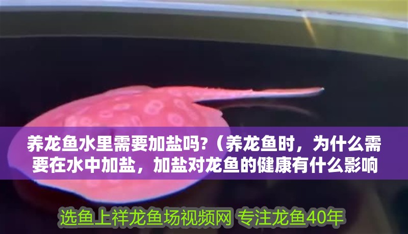 養龍魚水里需要加鹽嗎?（養龍魚時，為什么需要在水中加鹽，加鹽對龍魚的健康有什么影響）