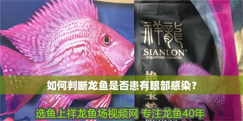 如何判斷龍魚是否患有眼部感染？