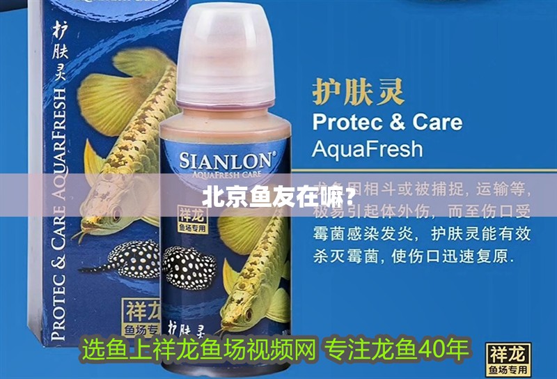 北京魚友在嘛？