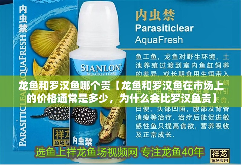 龍魚和羅漢魚哪個貴【龍魚和羅漢魚在市場上的價格通常是多少，為什么會比羅漢魚貴】