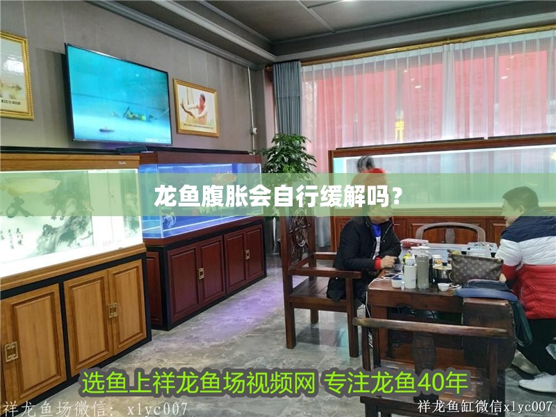 龍魚腹脹會自行緩解嗎？