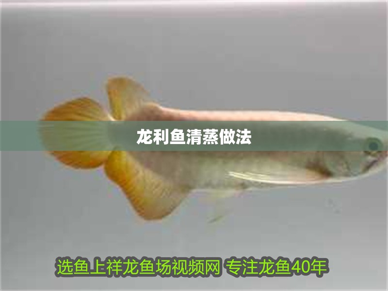 龍利魚清蒸做法 龍利魚清蒸做法 龍魚百科