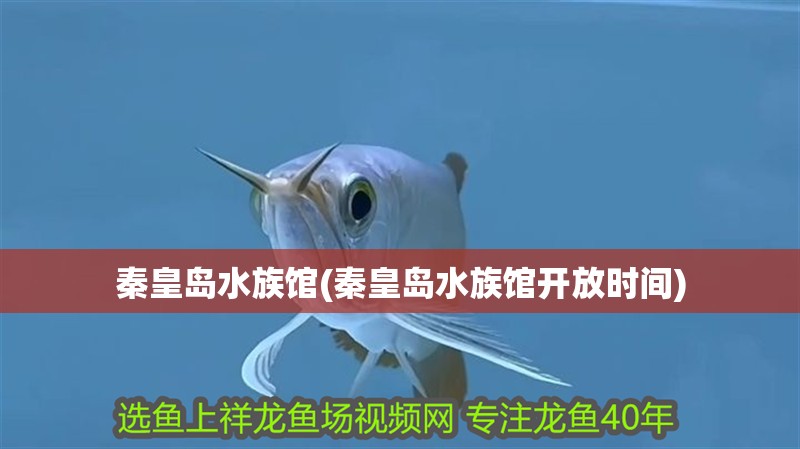 秦皇島水族館(秦皇島水族館開放時間)