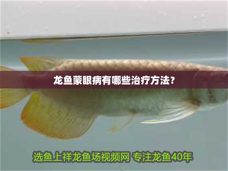 龍魚蒙眼病有哪些治療方法？