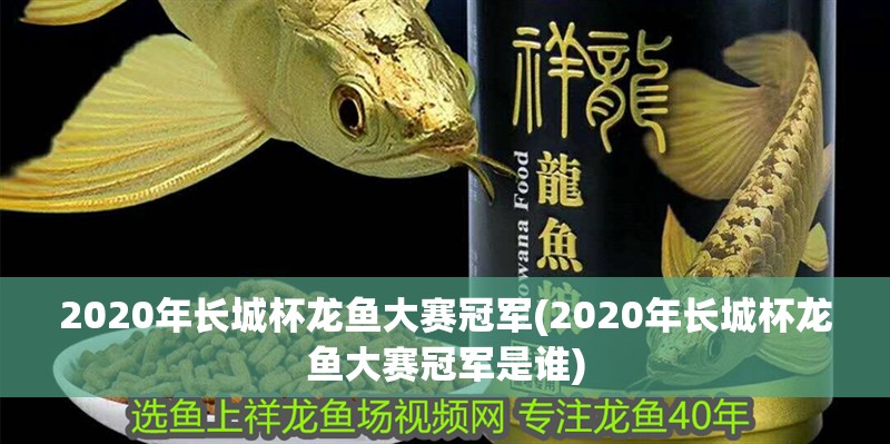 2020年長(zhǎng)城杯龍魚(yú)大賽冠軍(2020年長(zhǎng)城杯龍魚(yú)大賽冠軍是誰(shuí))