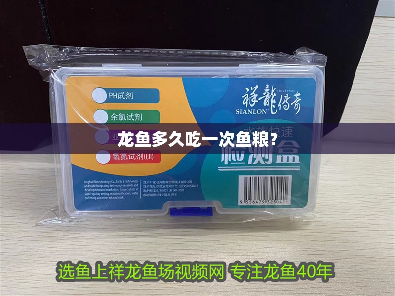 龍魚多久吃一次魚糧？