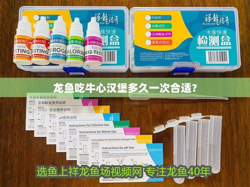 龍魚吃牛心漢堡多久一次合適？ 龍魚吃牛心漢堡多久一次合適？ 龍魚百科