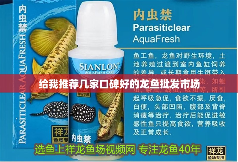 給我推薦幾家口碑好的龍魚批發(fā)市場